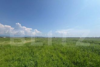 Teren Extravilan, 10.000 de mp, langa Centura Noua din Targu