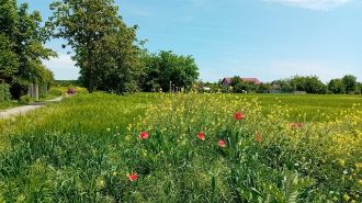 Teren Constructii intravilan de 500 mp, in Mihai Voda