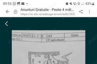 Proprietar