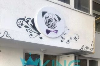 Casa cu 4 camere in Herastrau