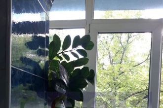 Apartament cu 3 camere decomandat in Mihai Bravu