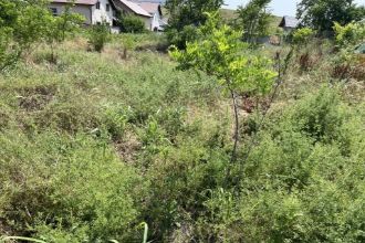 Teren Constructii intravilan de 691 mp, in Valu lui Traian