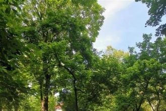 Apartament cu 2 camere semidecomandat in Copou