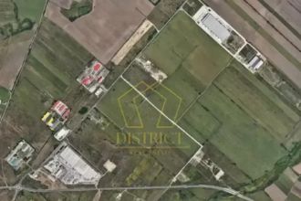 Teren Constructii extravilan de 25000 mp, in Dumbravita