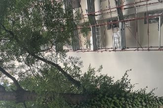 TEI FACULTATE CONSTRUCTII / LACUL TEI