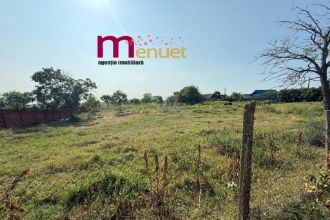Teren 2900 mp , Dunavatul de sus