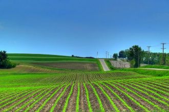 Vând 3,3 ha teren agricol in orbeasca de jos 