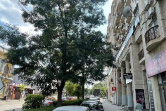 Spatiu comercial, 33 mp in Oltenitei
