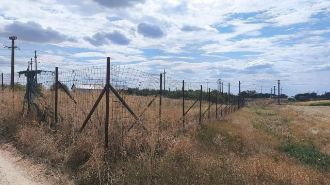 Teren Constructii intravilan de 60000 mp, in Sannicolau Mare