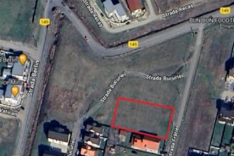 Teren Constructii intravilan de 2002 mp, in Mosnita Noua