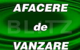 Afacere la cheie! Cladire individuala, 500 mp, plus 9 ari t