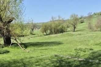 Teren agricol extravilan de 174198 mp, in Barzava