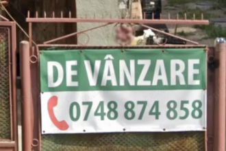 Vand casa individuala Mehala Aproape de centrul orasului zona de case *Anunt activ*