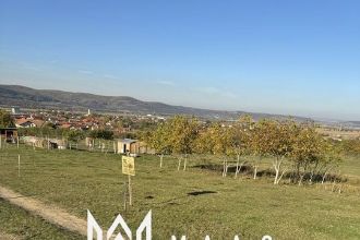 Teren Constructii intravilan de 900 mp, in Orlat