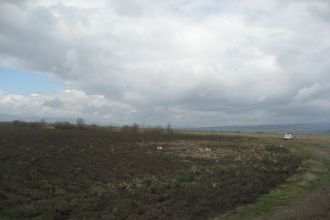Teren agricol 5 ha, parcela compacta 