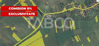 Teren agricol extravilan de 5490 mp, in Lovnic