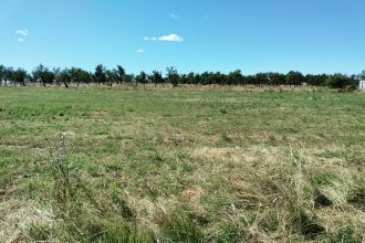 Teren Constructii intravilan de 600 mp, in Periferie