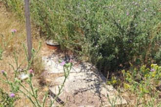 Teren agricol intravilan de 500 mp, in Poarta Alba