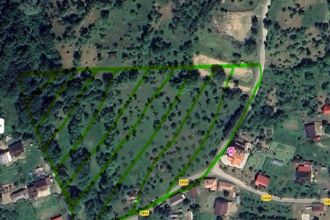 Teren Constructii intravilan de 6000 mp, in Arefu