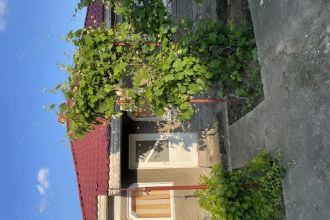 Casa plis teren de 1300mp , De Vanzare Tandarei , Il
