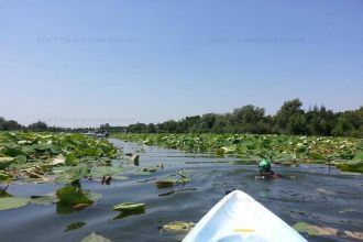 TEREN SILISTEA SNAGOVULUI 2600 mp iesire LAC