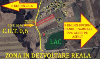 Teren Constructii intravilan de 5000 mp, in Bucium
