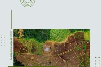Teren Constructii intravilan de 1000 mp, in Aradul Nou