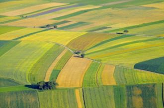 Vând 3 ha teren agricol, Unirea județul Călărași, preț 111000 RON 