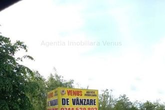 Teren cu latura de padure