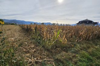 Teren agricol intravilan de 5500 mp, in Central