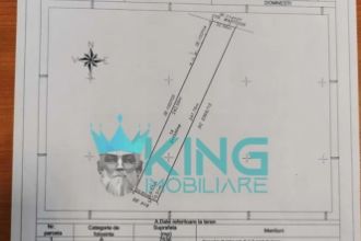Teren Constructii intravilan de 7500 mp, in Domnesti