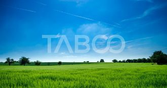 Teren agricol extravilan de 9369 mp, in Calea Dumbravii