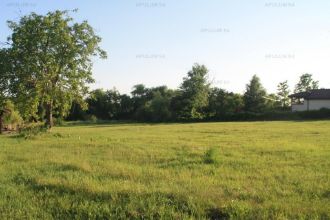 Teren agricol extravilan de 60000 mp, in Poarta Alba