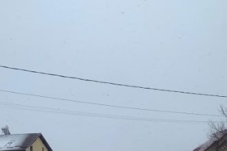 Teren Constructii intravilan de 5000 mp, in Catamaresti-Deal