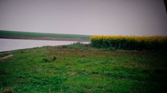 Teren agricol extravilan de 10000 mp, in Tuzla