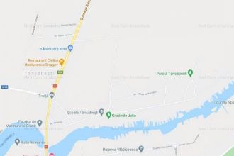 Vanzare teren 20.000 mp Padurea Vladiceasca, Tancabesti