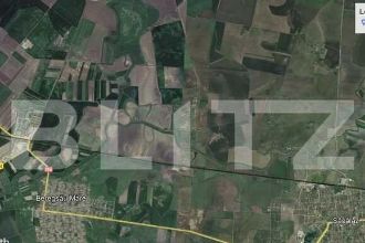 Teren agricol cu suprafata de 5 ha in Beregsaul Mare