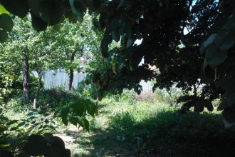 Teren Constructii intravilan de 2059 mp, in Padurisu