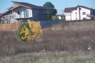 Teren Balotesti- zona in dezvoltare apropiere LAC