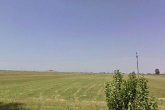 Teren Constructii extravilan de 12000 mp, in Gradiste
