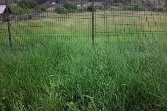 ARGES com Corbeni Teren intravilan 1200 mp pt casa Proprietar