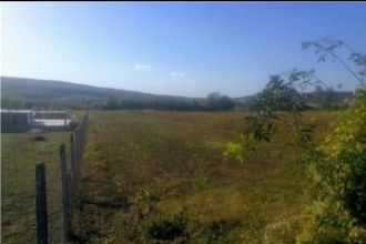 Teren Constructii intravilan de 4500 mp, in Iordacheanu