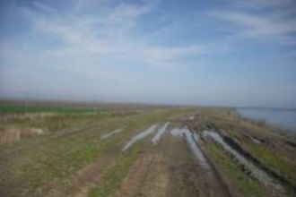 12,8 ha terenuri agricole la Castranova judetul Dolj