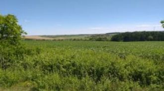 9,6 ha teren agricol la Bralostita judetul Dolj
