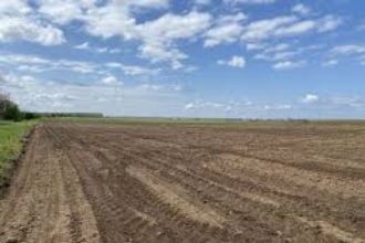10,7 ha terenuri agricole la Dabuleni judetul Dolj
