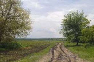 1,2 hectare teren agricol la Maglavit judetul Dolj