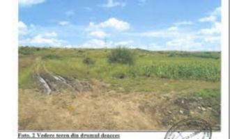 2,6 ha teren agricol la Ostroveni judetul Dolj