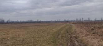 17 ha terenuri agricole la Goiesti judetul Dolj