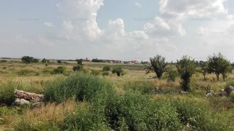 Teren intravilan 30900 mp - sat Livada, Arad
