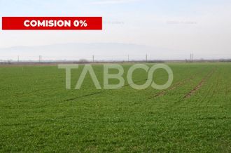 Teren extravilan agricol 12.000 mp utilitati in zona Pianu de Jos Alba